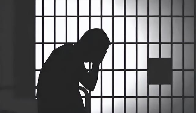 开源AI视频监控系统，守护监狱安全——实时分析囚犯情绪、行为和暴力预警